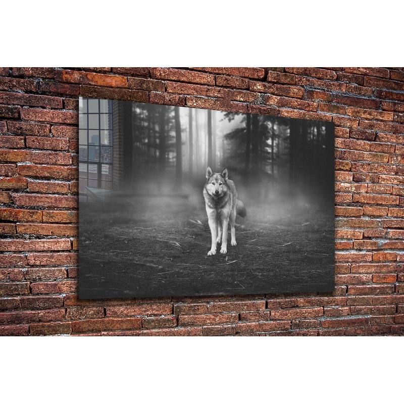 Wolf in Forest B&W Print Tempered Glass Wall Art 100% Made in Australia Ready to Hang