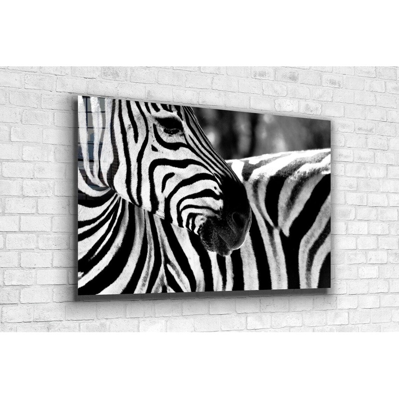 Zebra Face B&W Closeup Print Tempered Glass Wall Art 100% Made in Australia Ready to Hang
