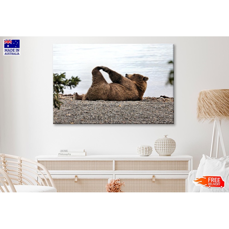 A Bear Stretches on The Beach in Katmai Wall Art Decor 100% Australian Made