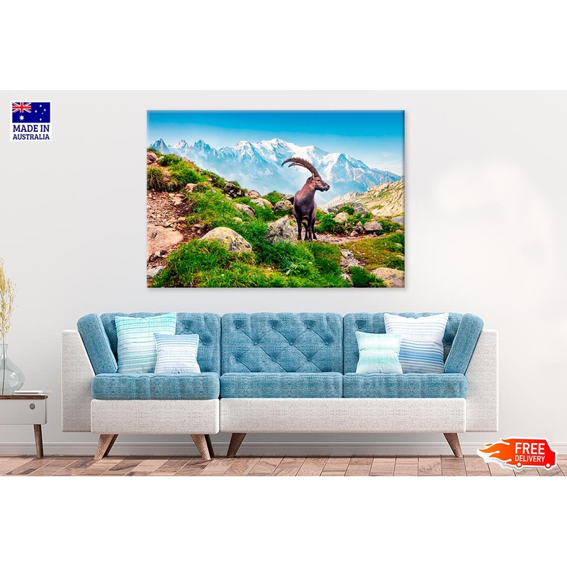 Alpine Ibex On Mont Blanc Misty Print 100% Australian Made