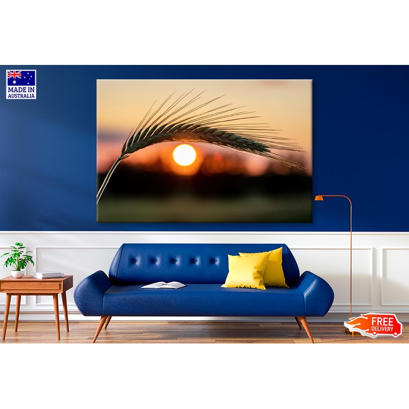 Barley Ear On a Background of a Disk of The Setting Sun Wall Art Decor 100% Australian Made