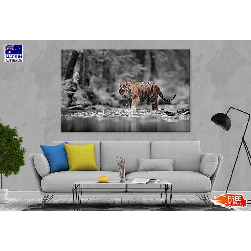Blue Eye Tiger 100% Australian Made