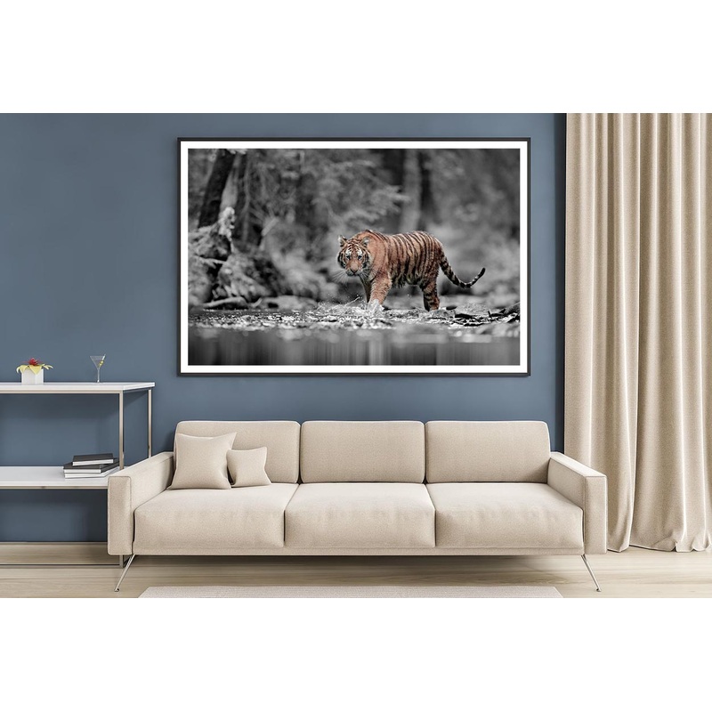 Blue Eye Tiger Decor Premium Quality Poster Print Choose Your Sizes