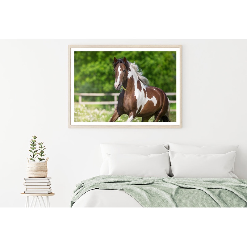 Brown And White Stallion Running Home Decor Premium Quality Poster Print Choose Your Sizes