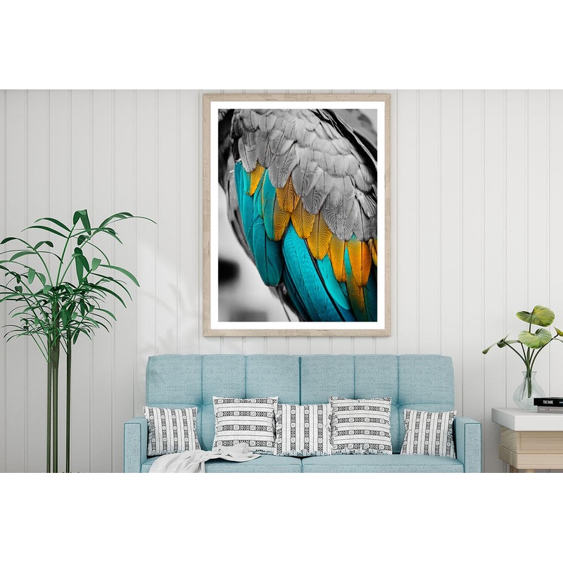 Close-Up Feather Design Home Decor Premium Quality Poster Print Choose Your Sizes