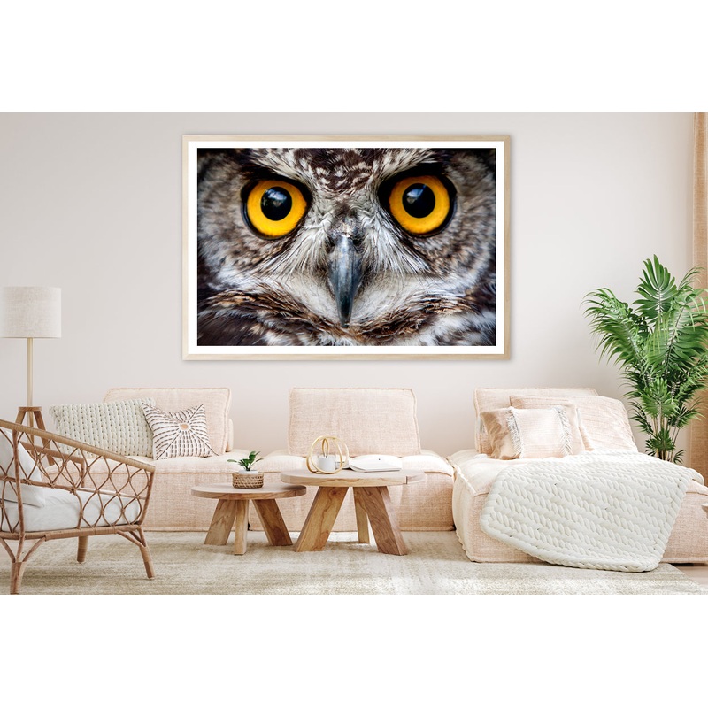 Close-Up of an Owl's Eyes Home Decor Premium Quality Poster Print Choose Your Sizes