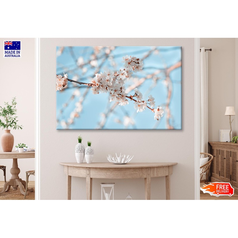 Close-Up Of the Blossoming Branch in Spring Wall Art Decor 100% Australian Made
