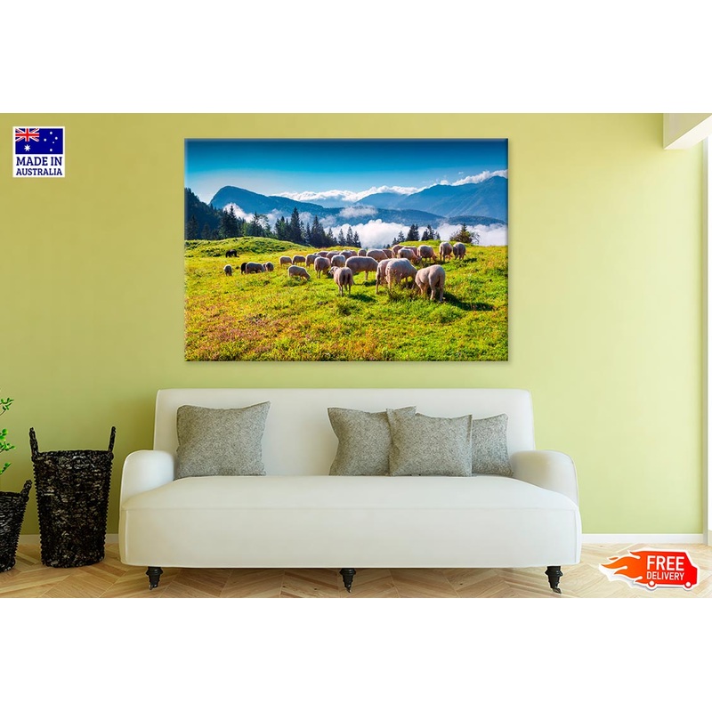 Sheep On Alpine Pasture In Summer Print 100% Australian Made