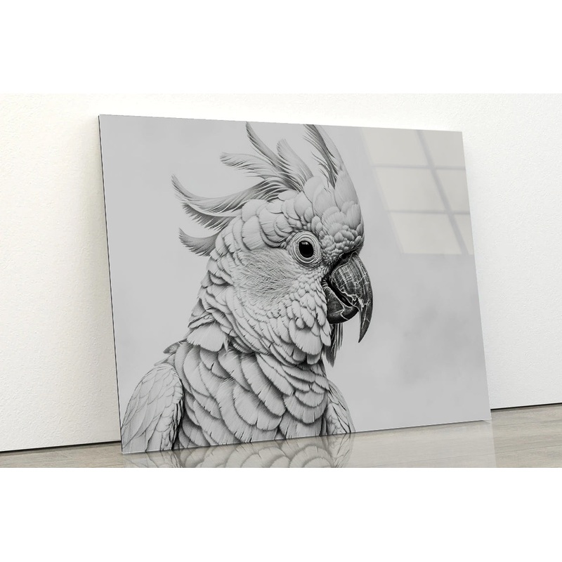 Sketch Of Cockatoo Bird in White Acrylic Glass Print Tempered Glass Wall Art 100% Made in Australia Ready to Hang