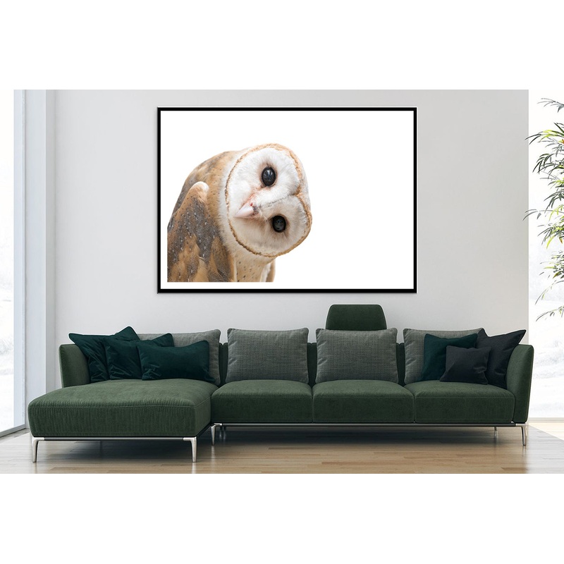 White and Brown Barn Owl Resting Home Decor Premium Quality Poster Print Choose Your Sizes