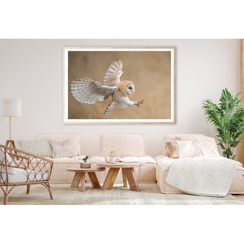 White & Beige Barn Owl Flying Home Decor Premium Quality Poster Print Choose Your Sizes