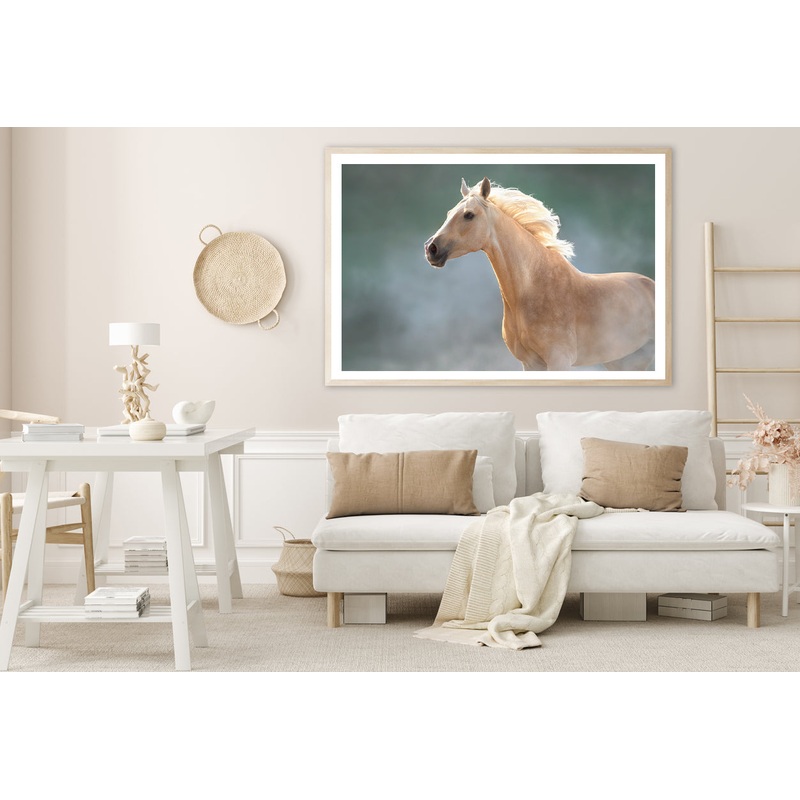 White Lusitano Horse in Movement Home Decor Premium Quality Poster Print Choose Your Sizes