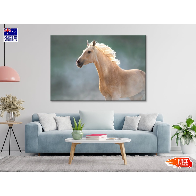 White Lusitano Horse in Movement Print 100% Australian Made
