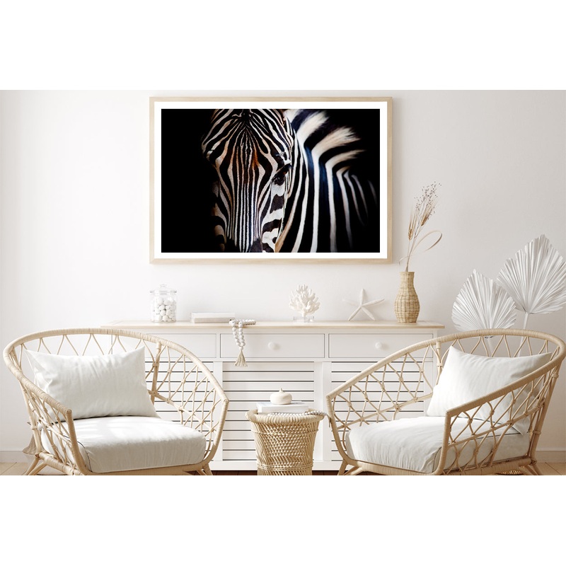 Wild Zebra in Black Background Home Decor Premium Quality Poster Print Choose Your Sizes