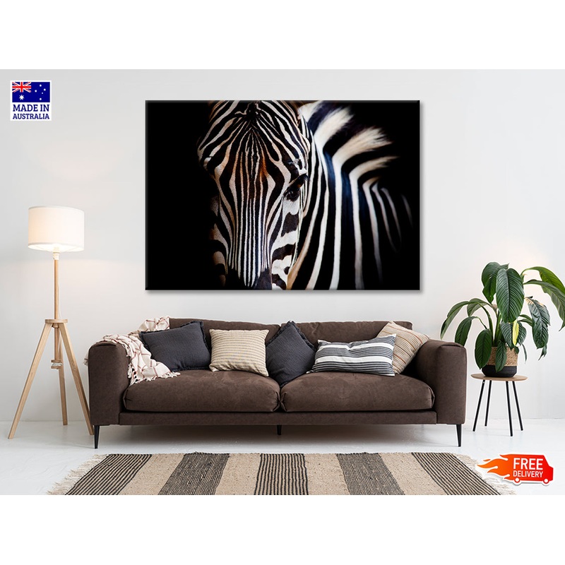 Wild Zebra in Black Background Print 100% Australian Made