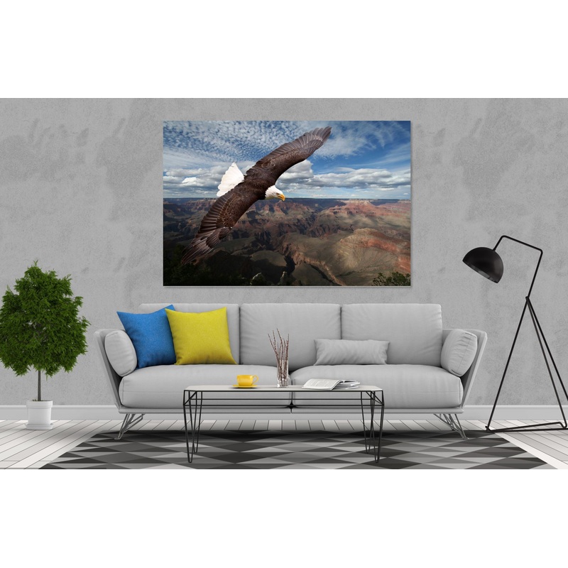 Beautiful Eagle Print 100% Australian Made