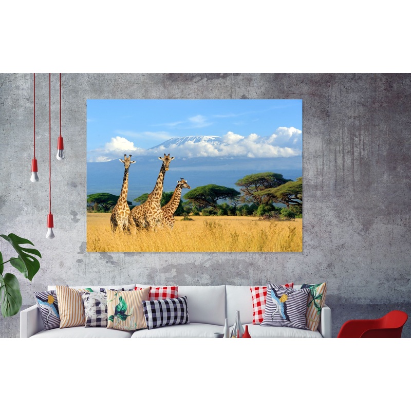 Beautiful Giraffe animal  Print 100% Australian Made