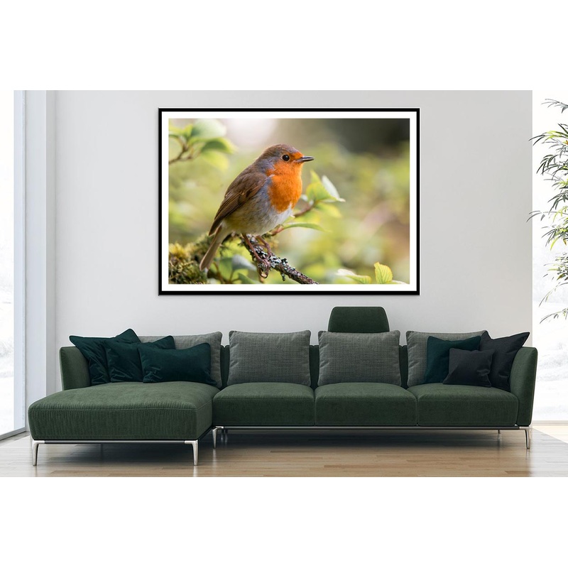 Bird In Family Turdidae, With Beak Open in Profile Home Decor Premium Quality Poster Print Choose Your Sizes