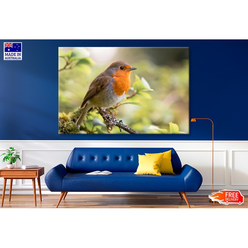 Bird In Family Turdidae, With Beak Open in Profile  Wall Art Decor 100% Australian Made