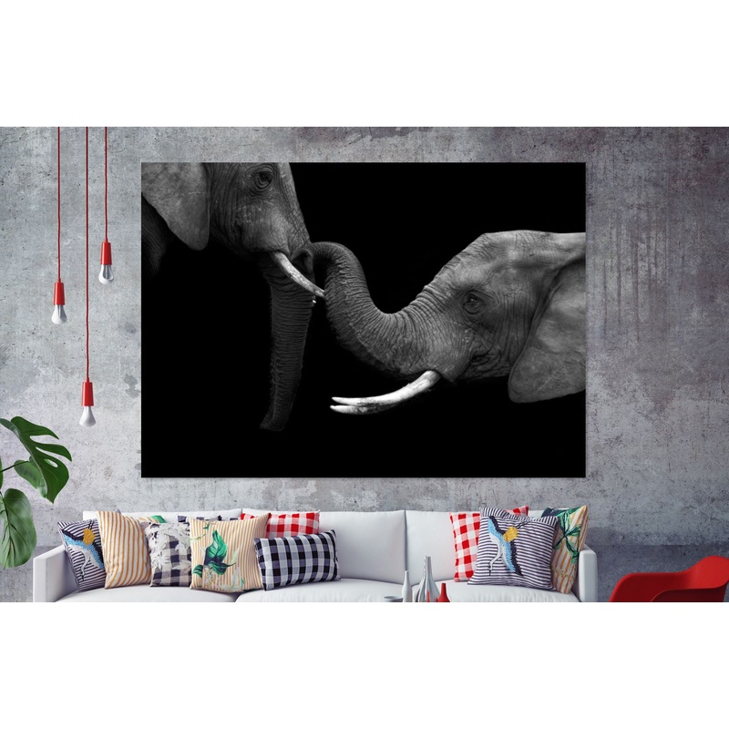 Black and White Elephants  Stunning Print 100% Australian Made