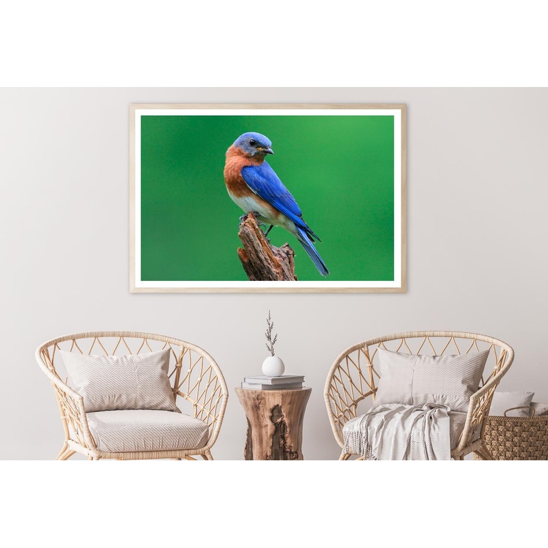 Blue Bird Sitting on Top of a Tree Branch Home Decor Premium Quality Poster Print Choose Your Sizes