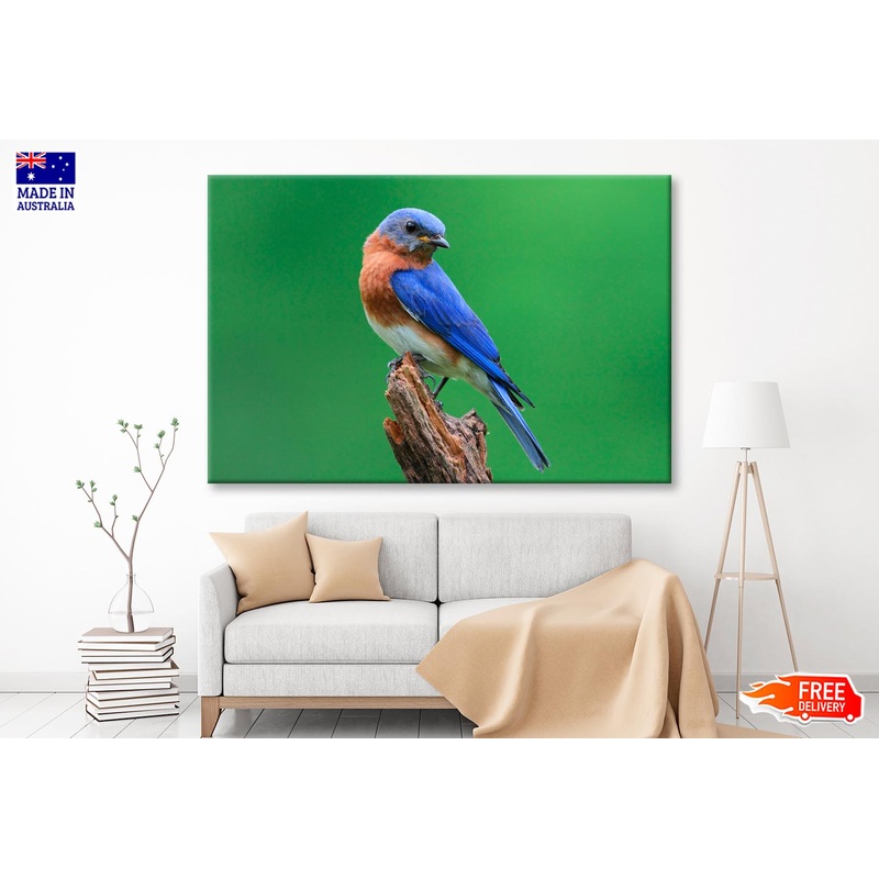 Blue Bird Sitting on Top of a Tree Branch  Wall Art Decor 100% Australian Made
