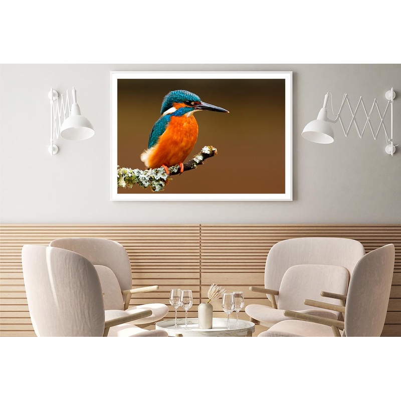 Brightly Colored Kingfisher on A Lichen Cover Branch Isolated on A Natural Brown Background Home Decor Premium Quality Poster Print Choose Your Sizes
