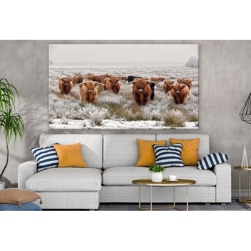 Brown Highland Cow Herd Print 100% Australian Made