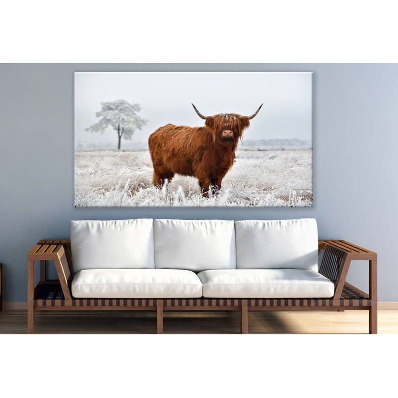Brown Highland Cow Standing On Grass Print 100% Australian Made