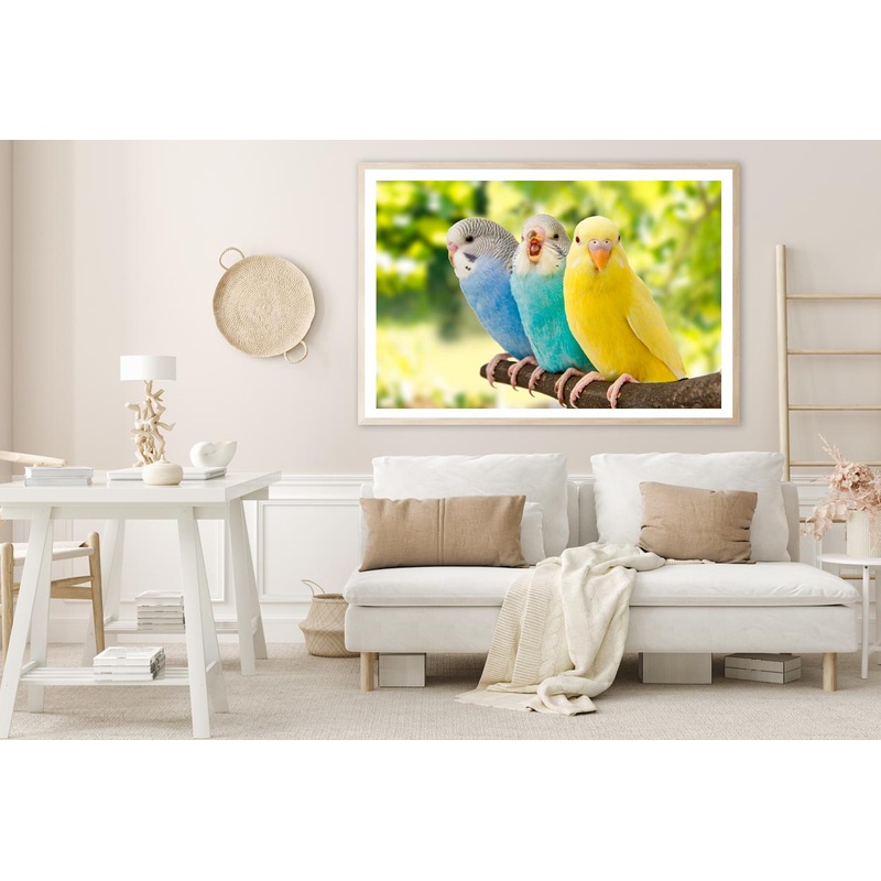 Budgies Are in The Roost on The Green Background Home Decor Premium Quality Poster Print Choose Your Sizes