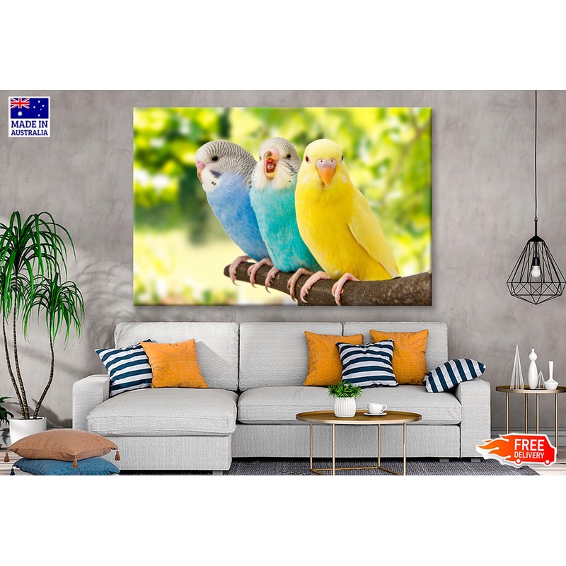 Budgies Are in The Roost on The Green Background  Wall Art Decor 100% Australian Made