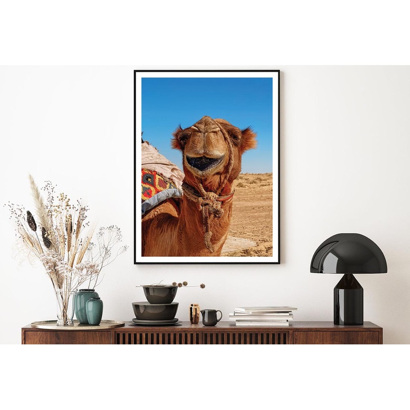 Close-Up Of a Dromedary Camel in The Desert Home Decor Premium Quality Poster Print Choose Your Sizes