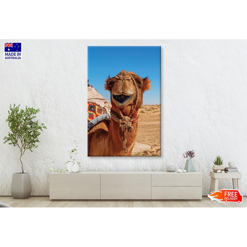 Close-Up Of a Dromedary Camel in The Desert Wall Art Decor 100% Australian Made