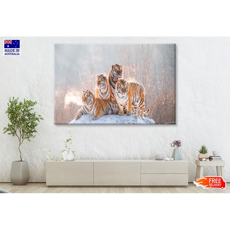 Siberian Tiger & Winter Wall Art Decor 100% Australian Made