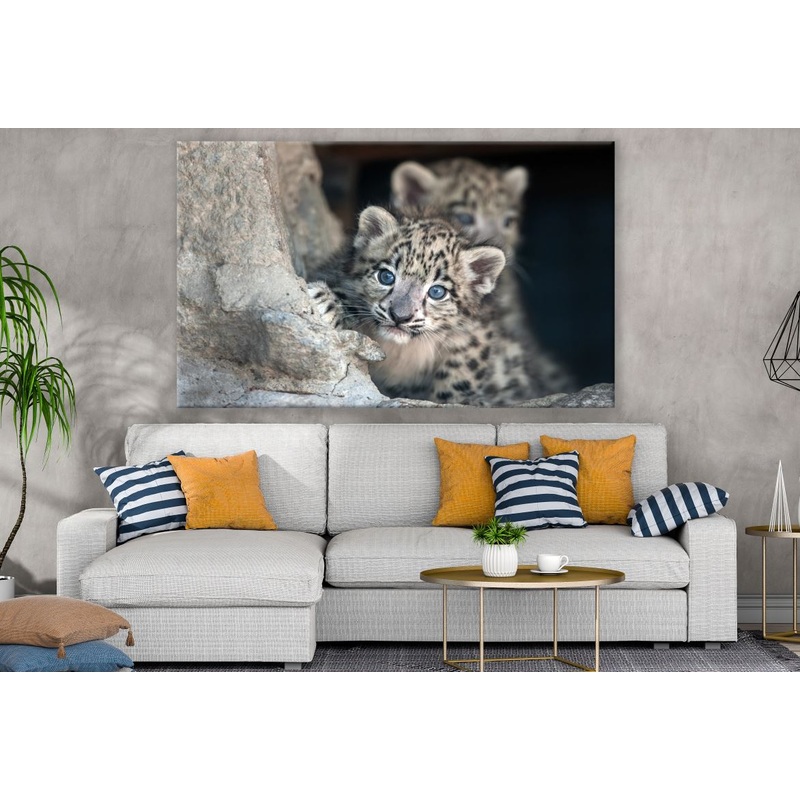 Snow Leopard Cub Print Ready to hang 100% Australian Made