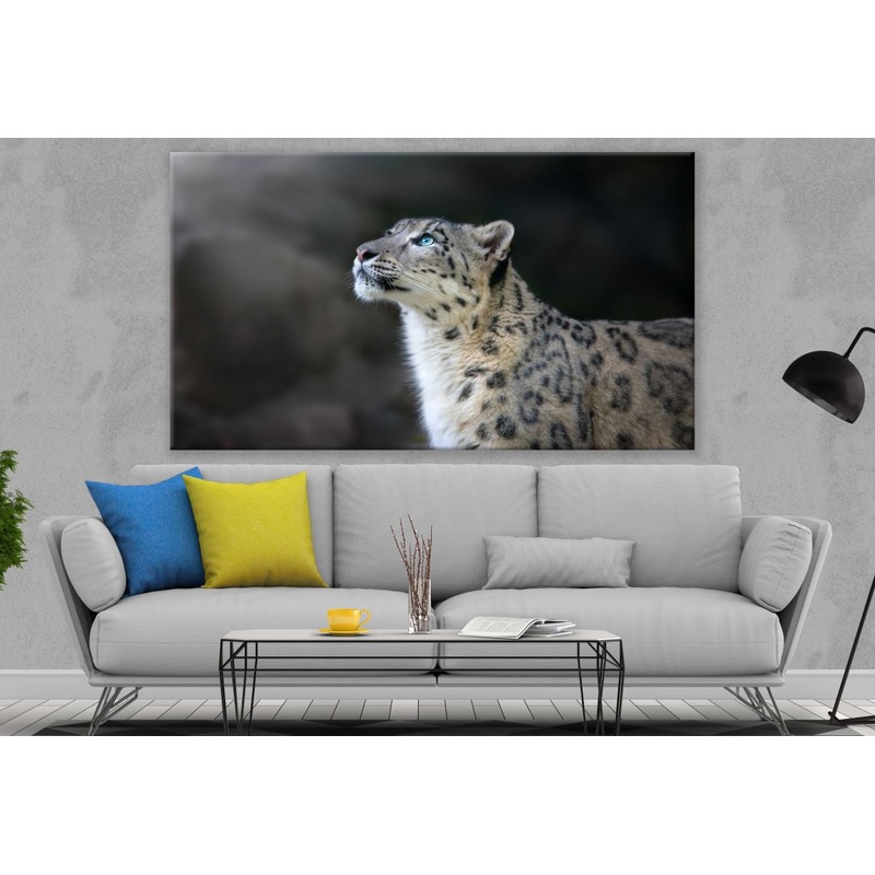 Snow Leopard with Blue Eyes Print 100% Australian Made