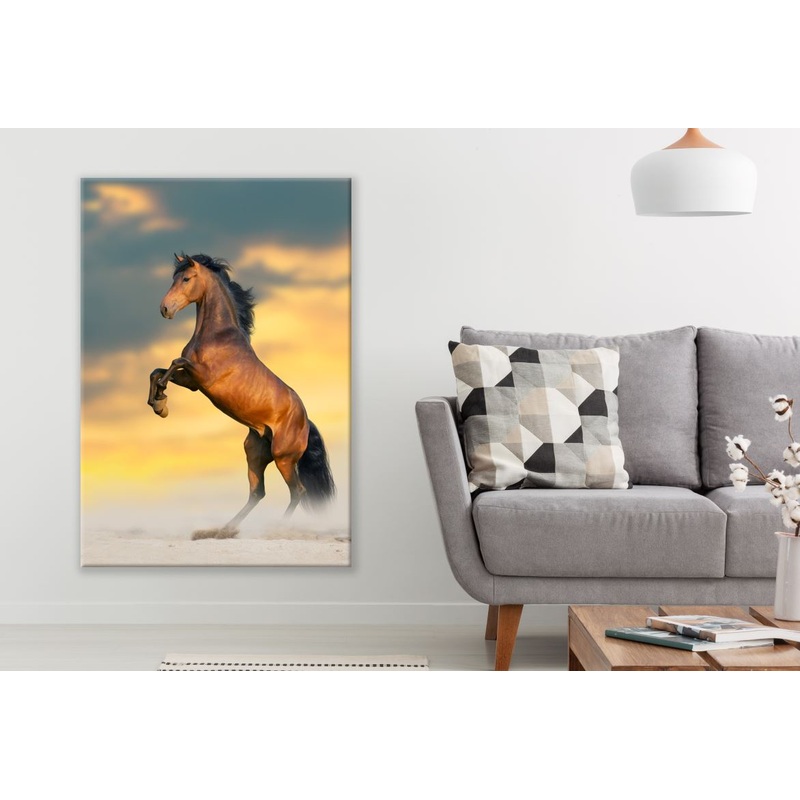 Stunning Stallion standing from back legs Sunset Print 100% Australian Made