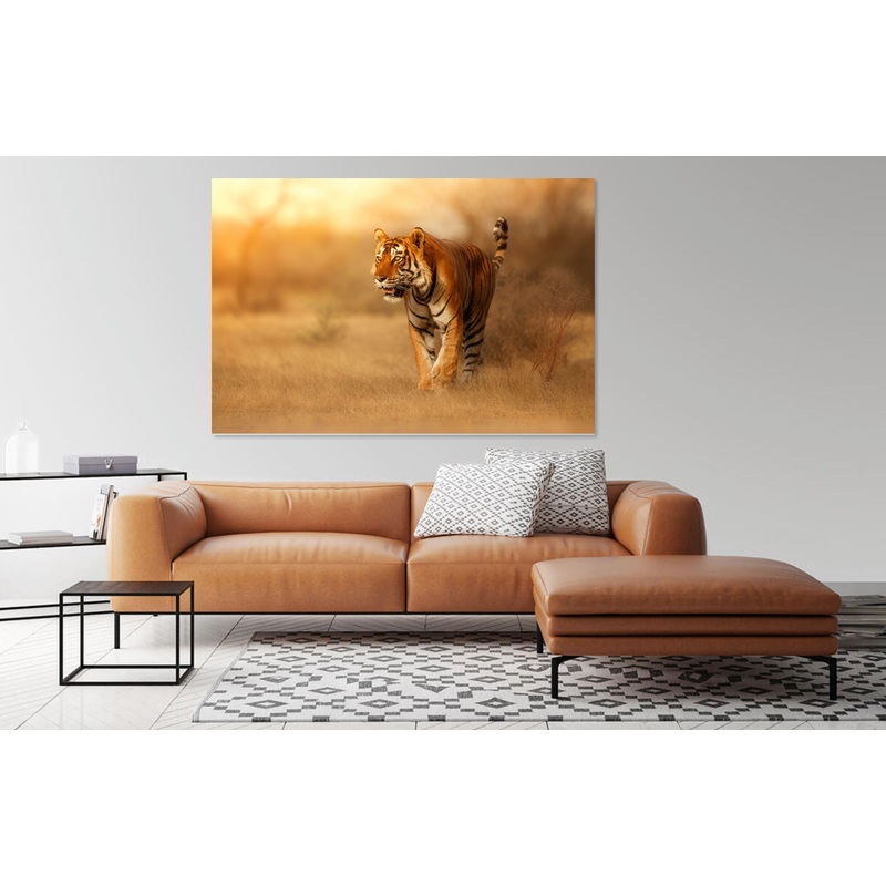 Stunning Tiger Print 100% Australian Made