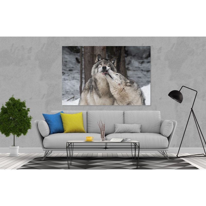 Sweet Wolf Print 100% Australian Made