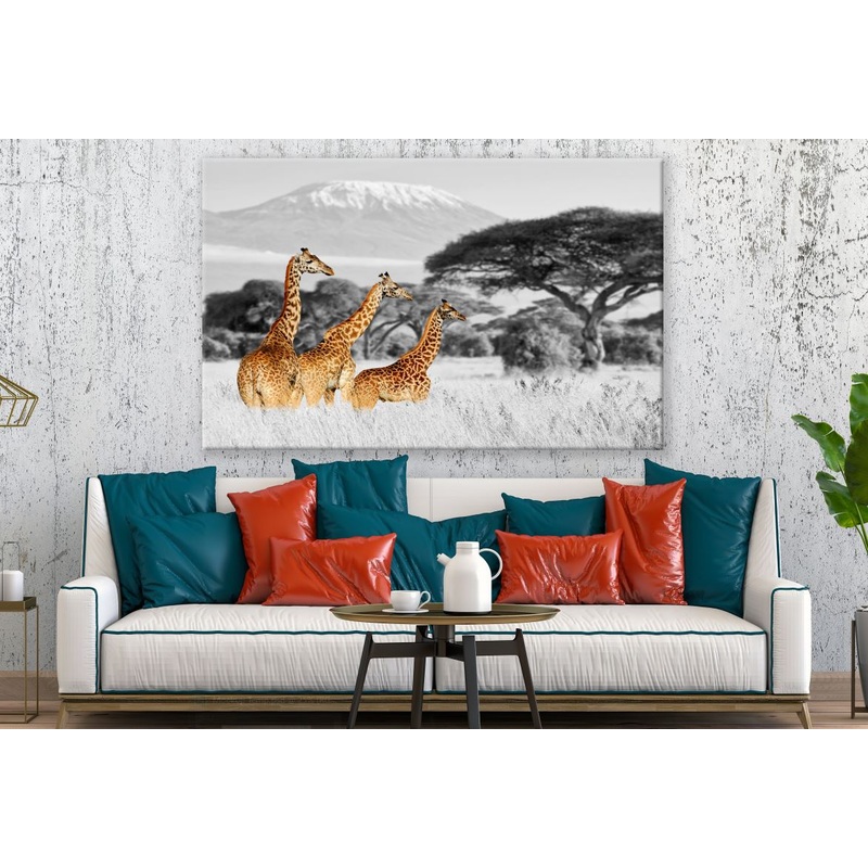 Three Giraffes Standing In a Black & White Background Print 100% Australian Made