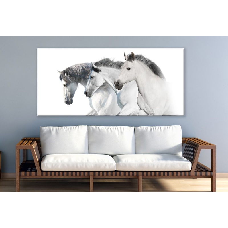 Three White Horses Running Print 100% Australian Made