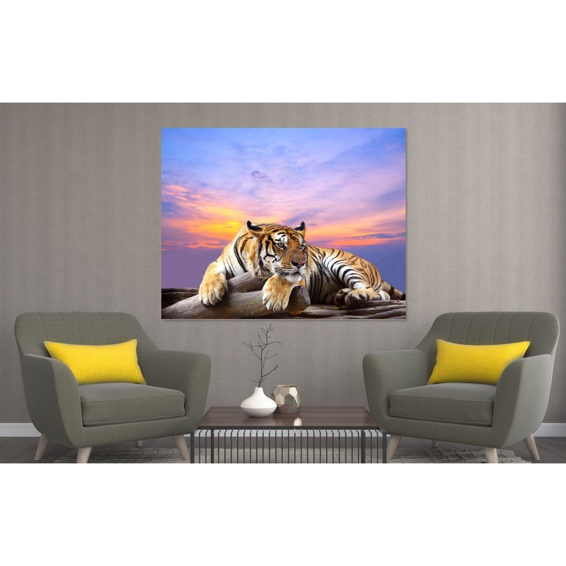 Tiger Stunning Print 100% Australian Made
