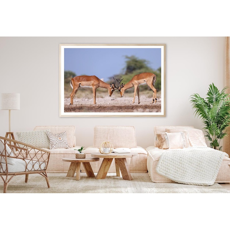 Two Fighting Male Impala Antelopes Home Decor Premium Quality Poster Print Choose Your Sizes