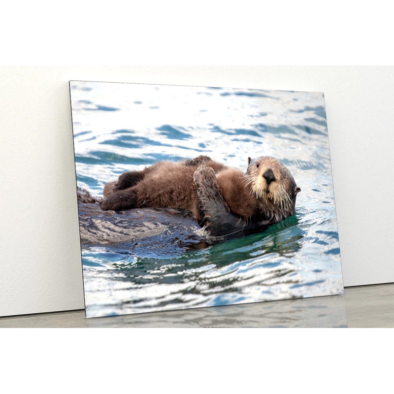 Watchful And Protective Sea Acrylic Glass Print Tempered Glass Wall Art 100% Made in Australia Ready to Hang