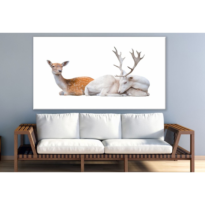 White Deer & Brown Deer Laying on ground Print 100% Australian Made