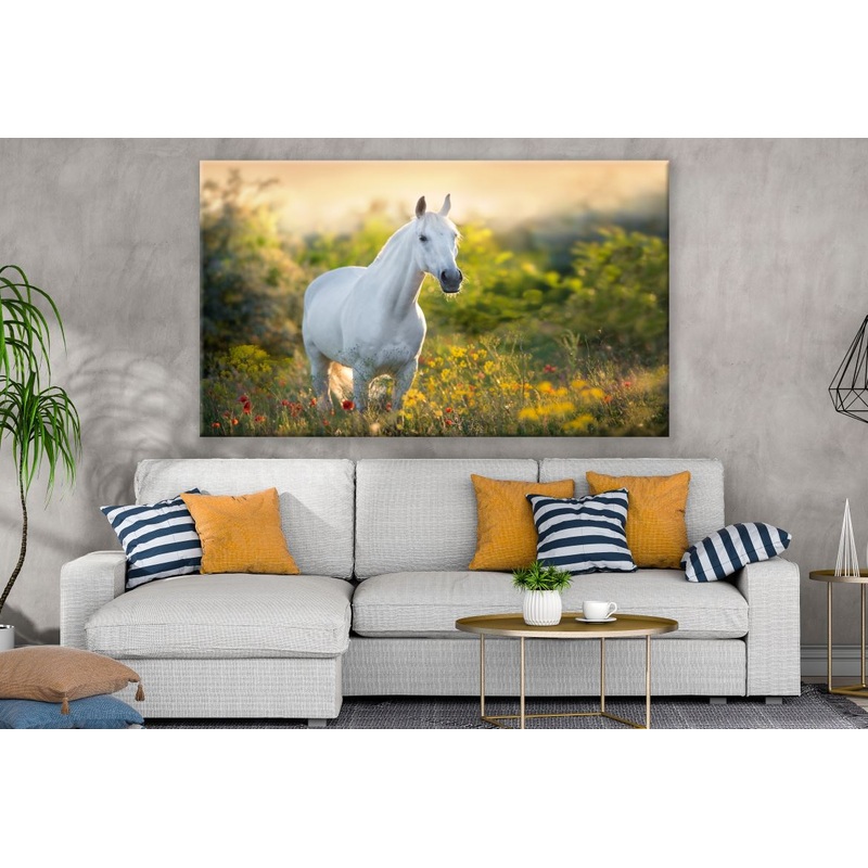 White horse in a meadow Sunset Print 100% Australian Made
