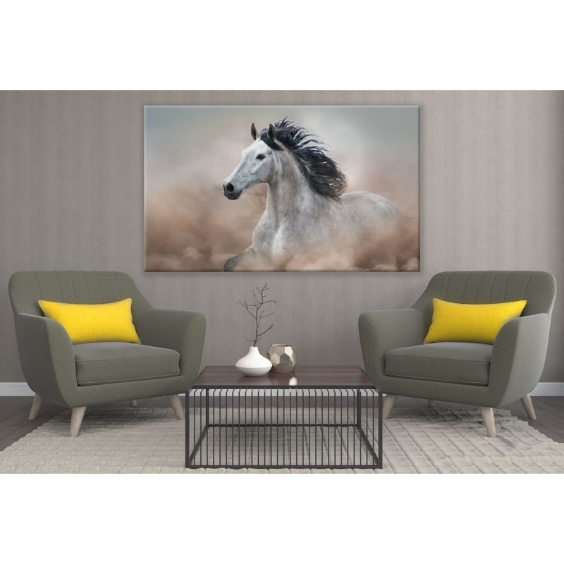 White Horse Portrait Photograph Print 100% Australian Made