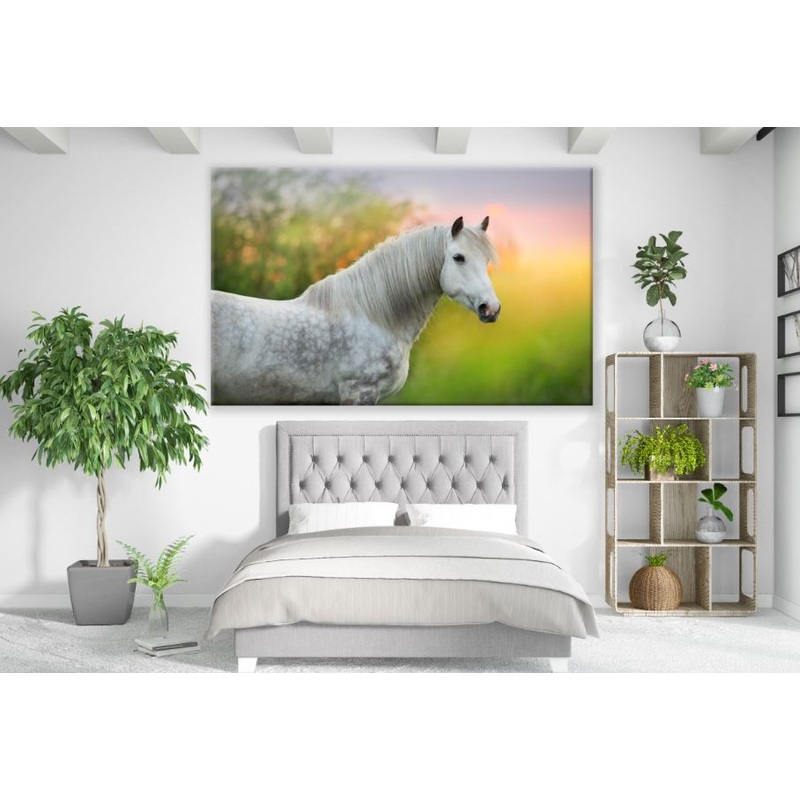 White Horse Portrait Sun set Print 100% Australian Made