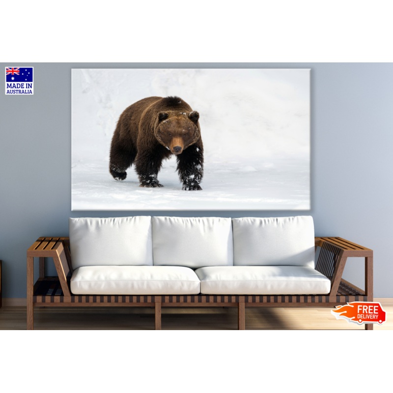 Bear Walking on Snow Print 100% Australian Made
