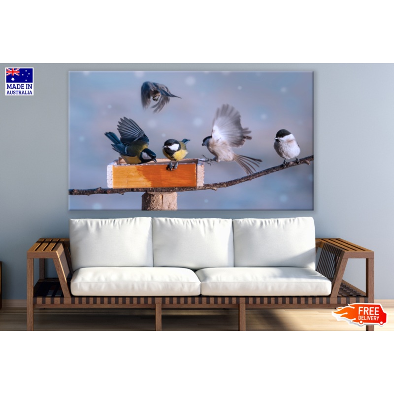Black-Capped Chickadee Birds on a Branch Print 100% Australian Made